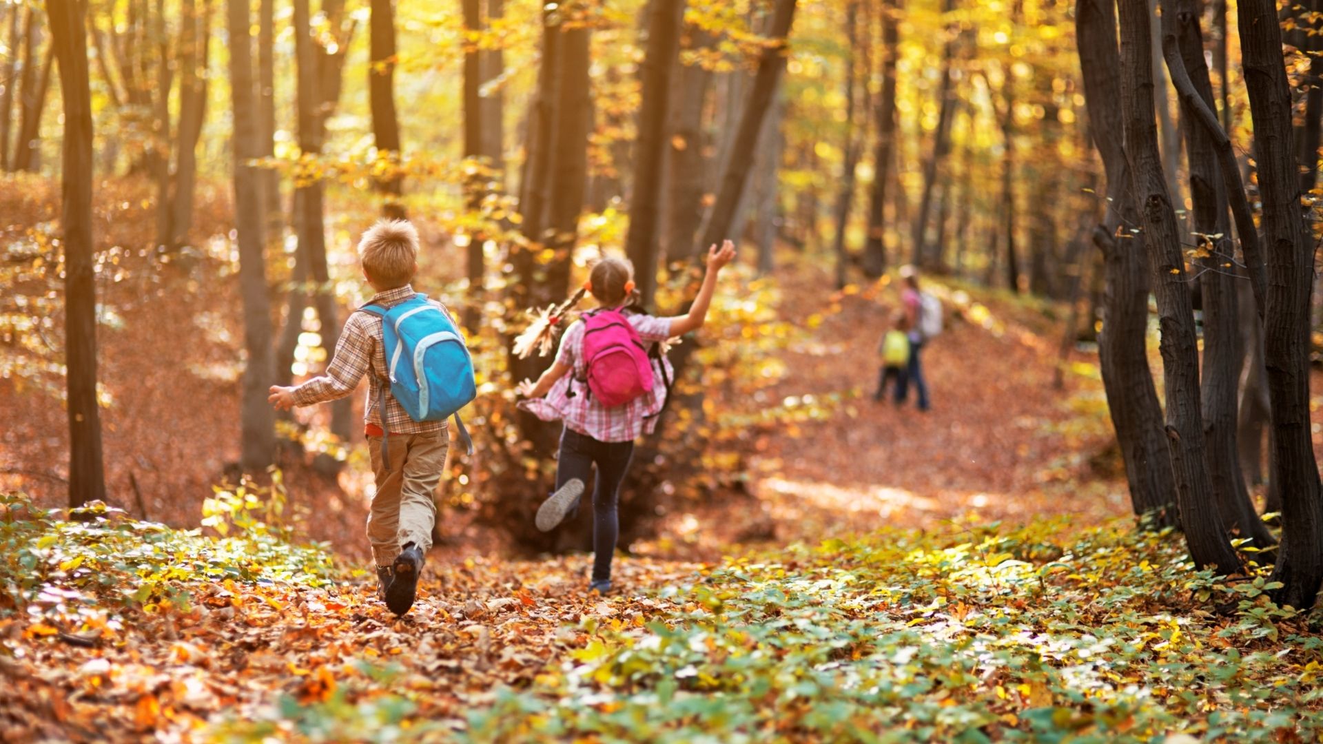 image of a house inspection